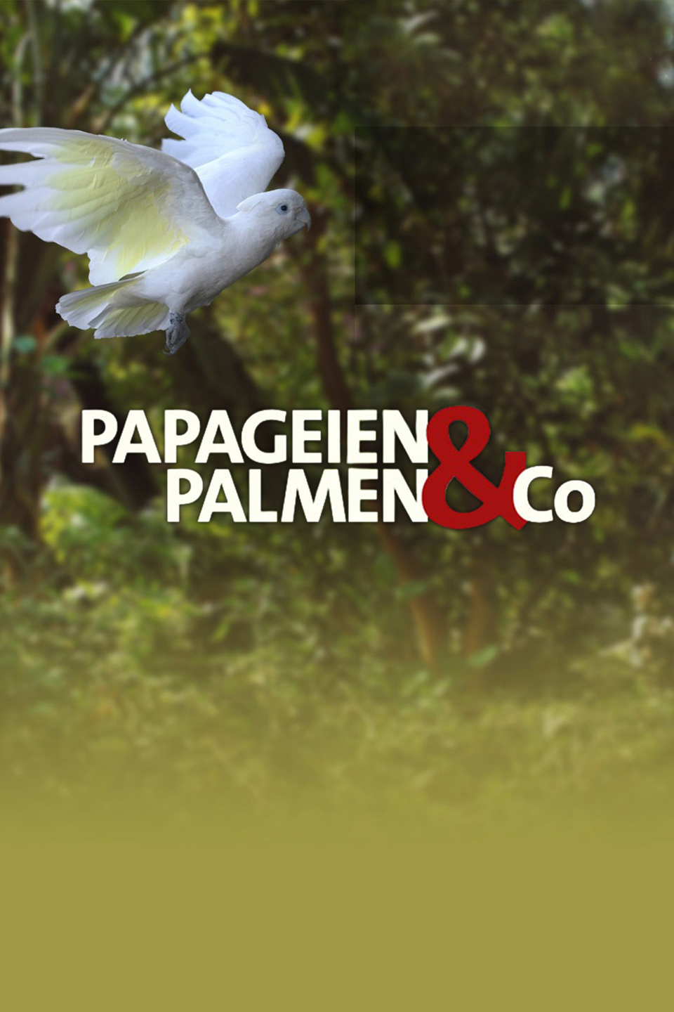 Papageien, Palmen & Co.