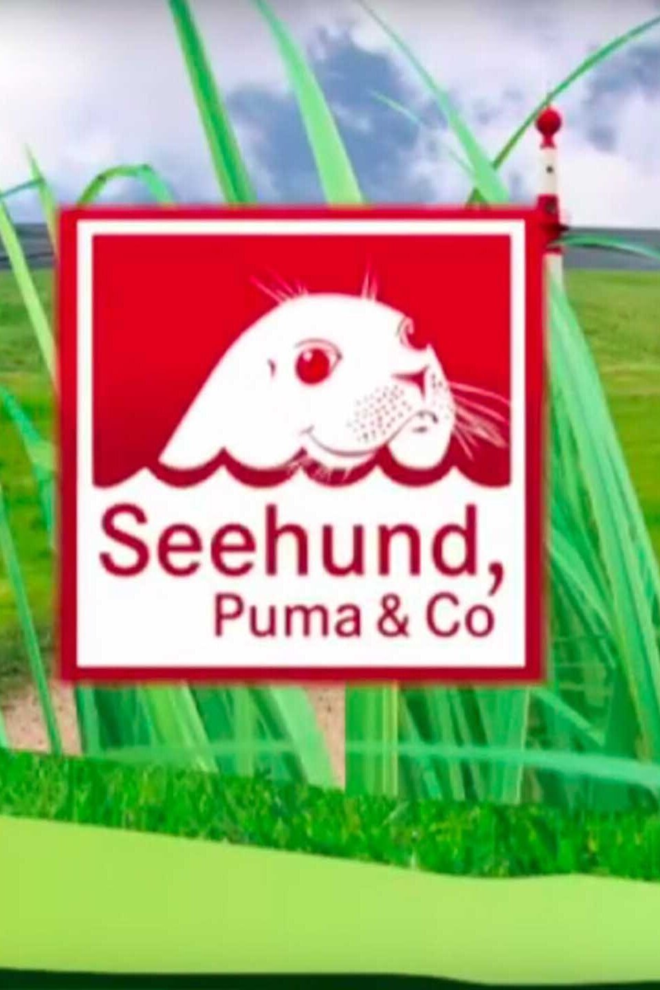 Seehund, Puma & Co.