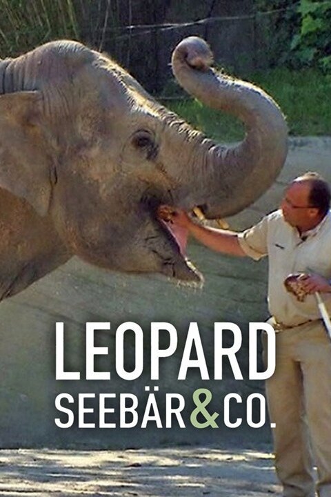 Leopard, Seebär & Co.