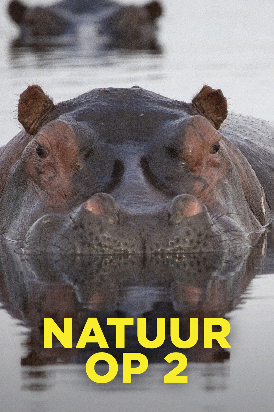 Natuur op 2