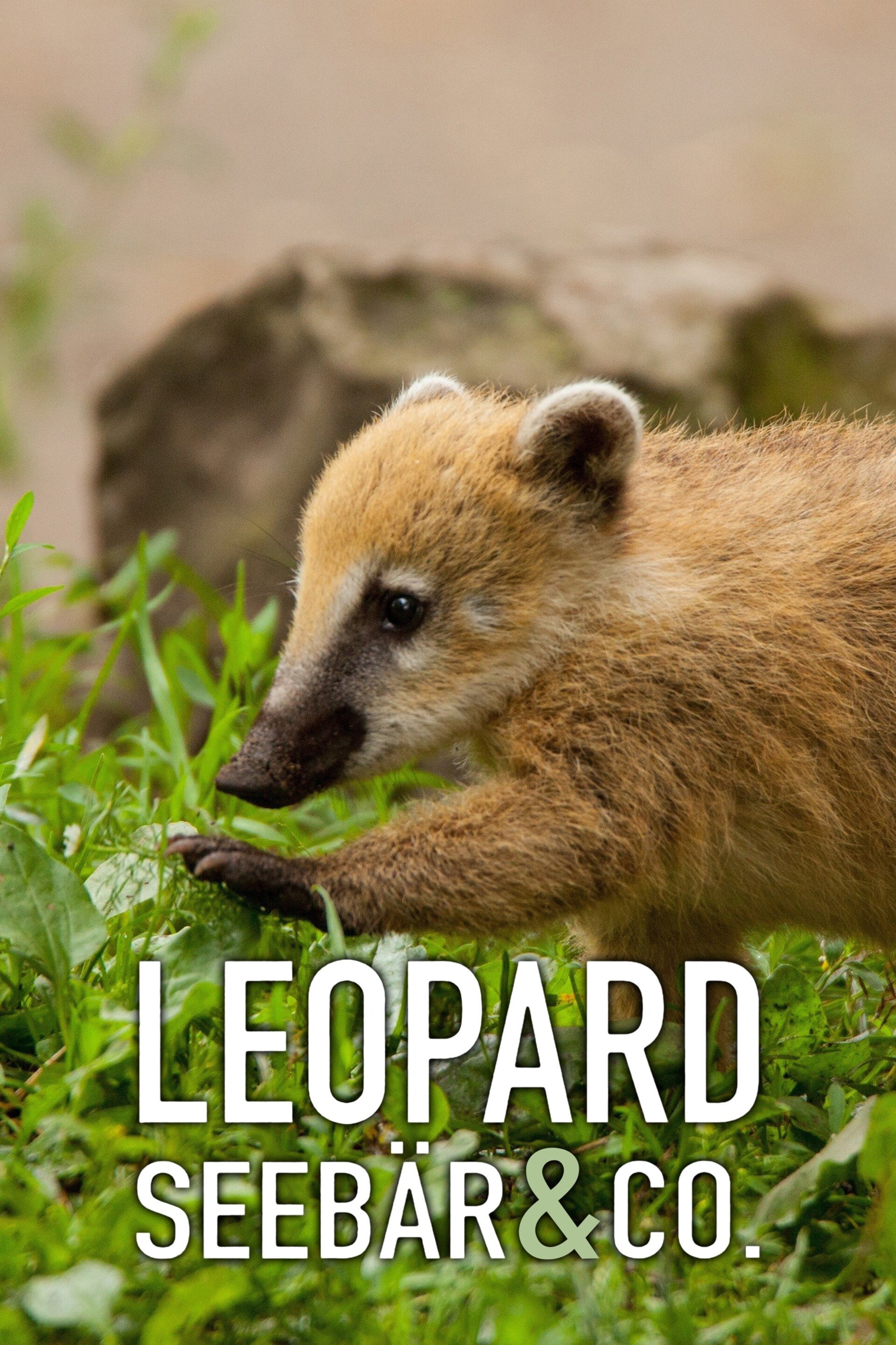 Leopard, Seebär & Co.