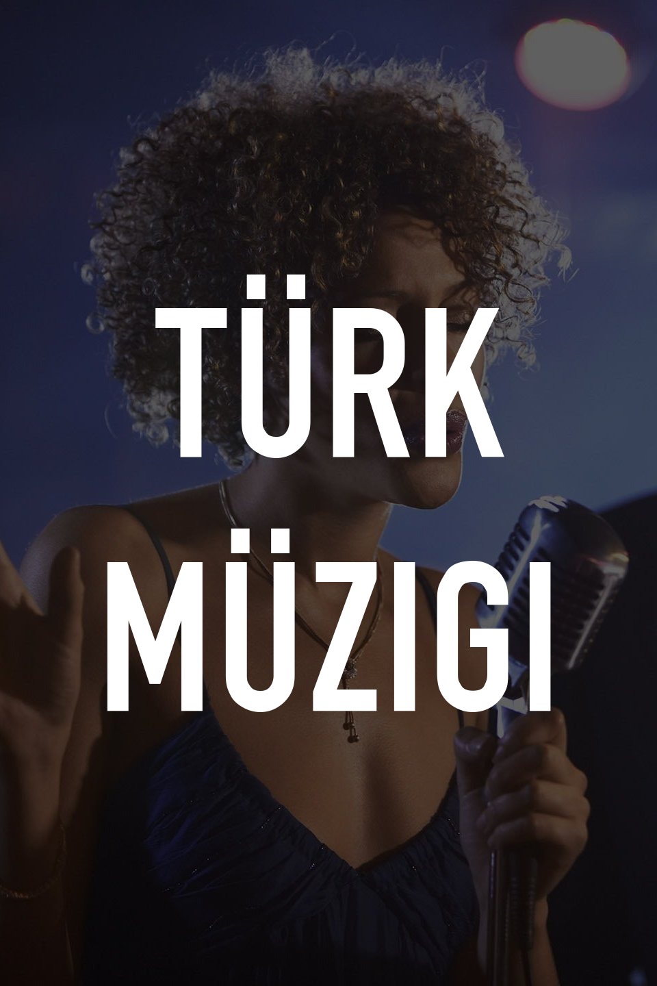 Türk Müzigi