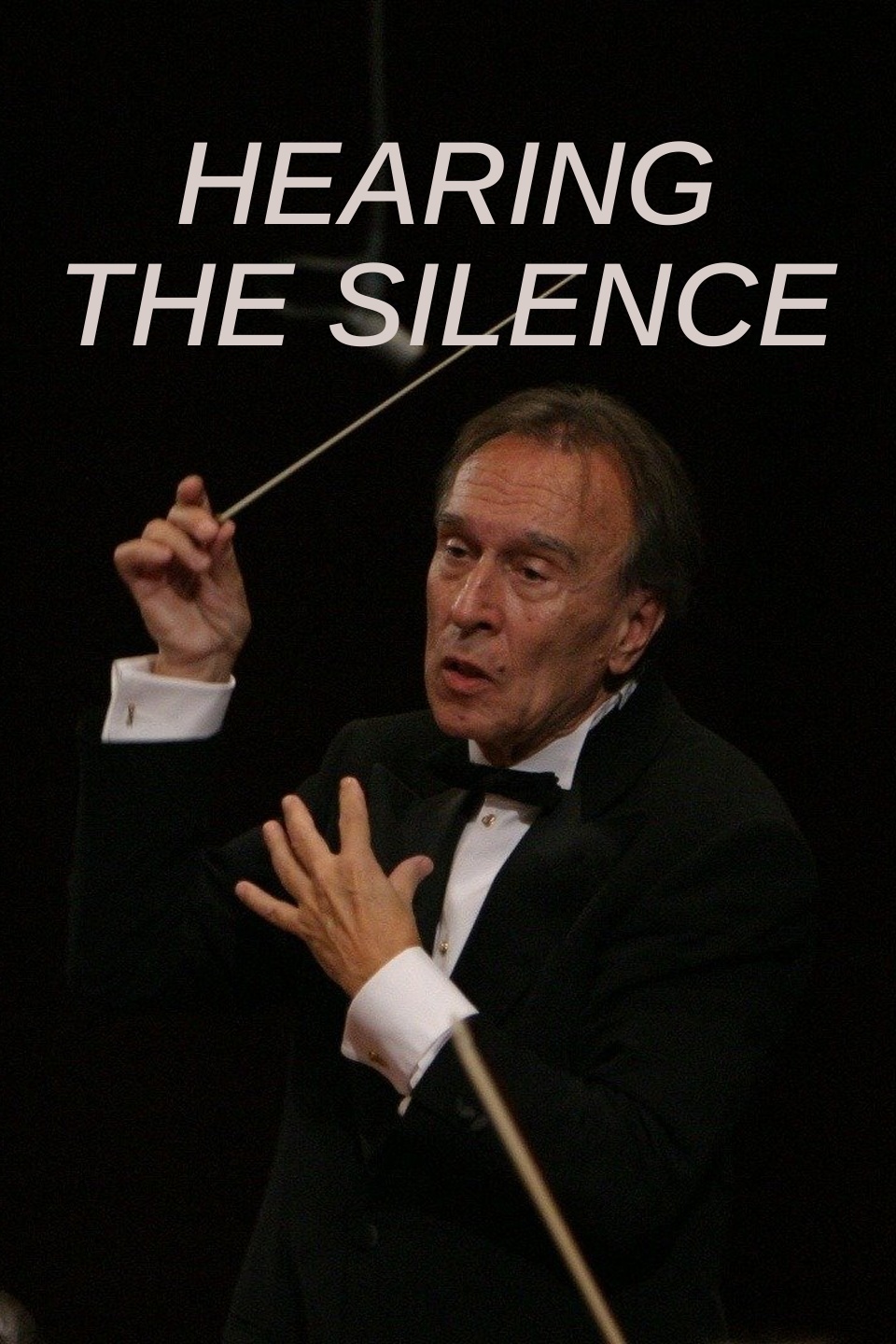 Hearing the Silence
