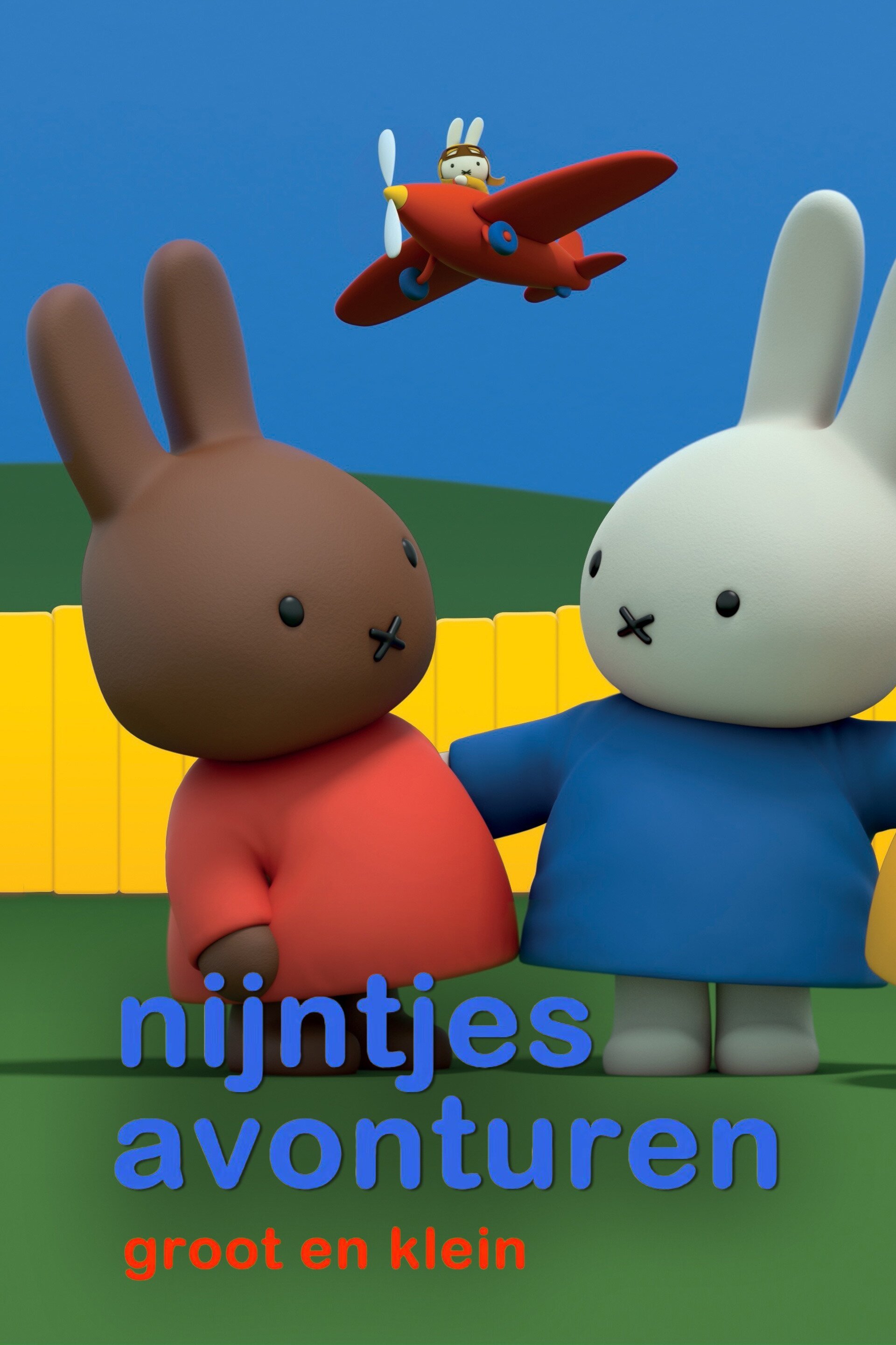 Nijntjes avonturen, groot en klein