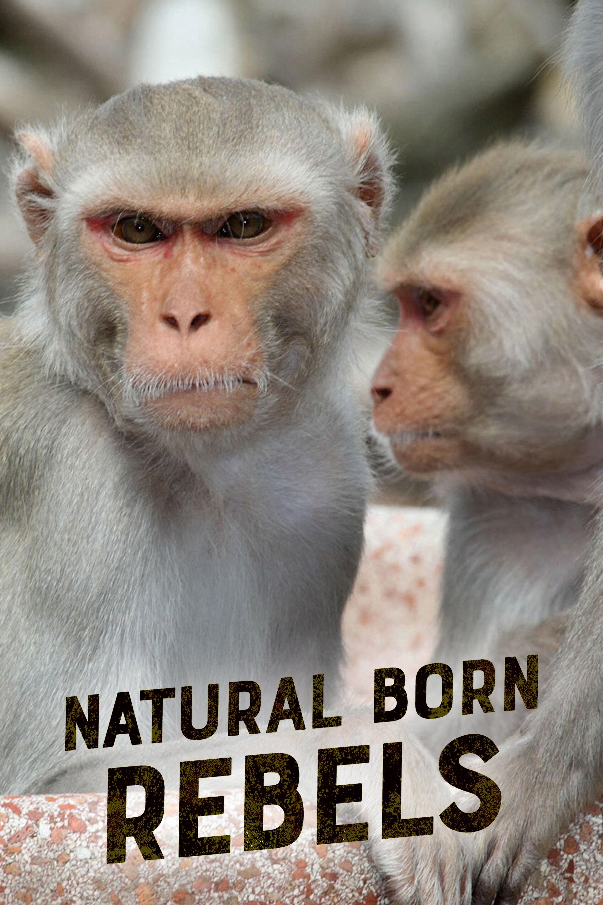 Natuur op 2: Natural Born Rebels