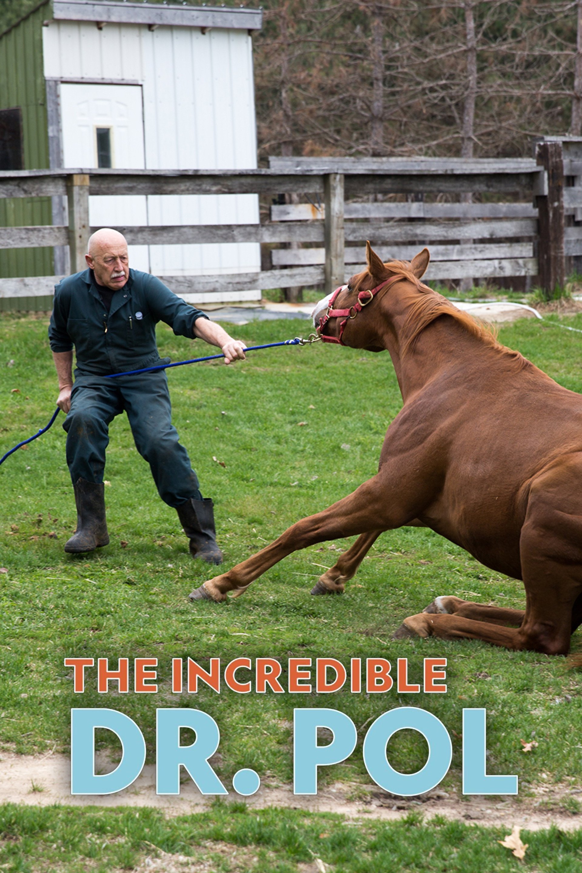 The Incredible Dr. Pol Compilations