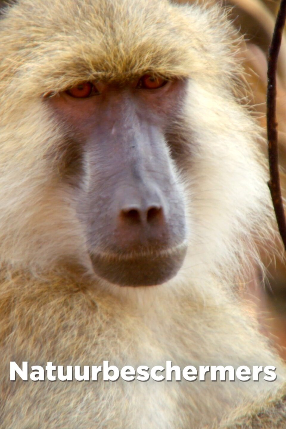 Natuurbeschermers