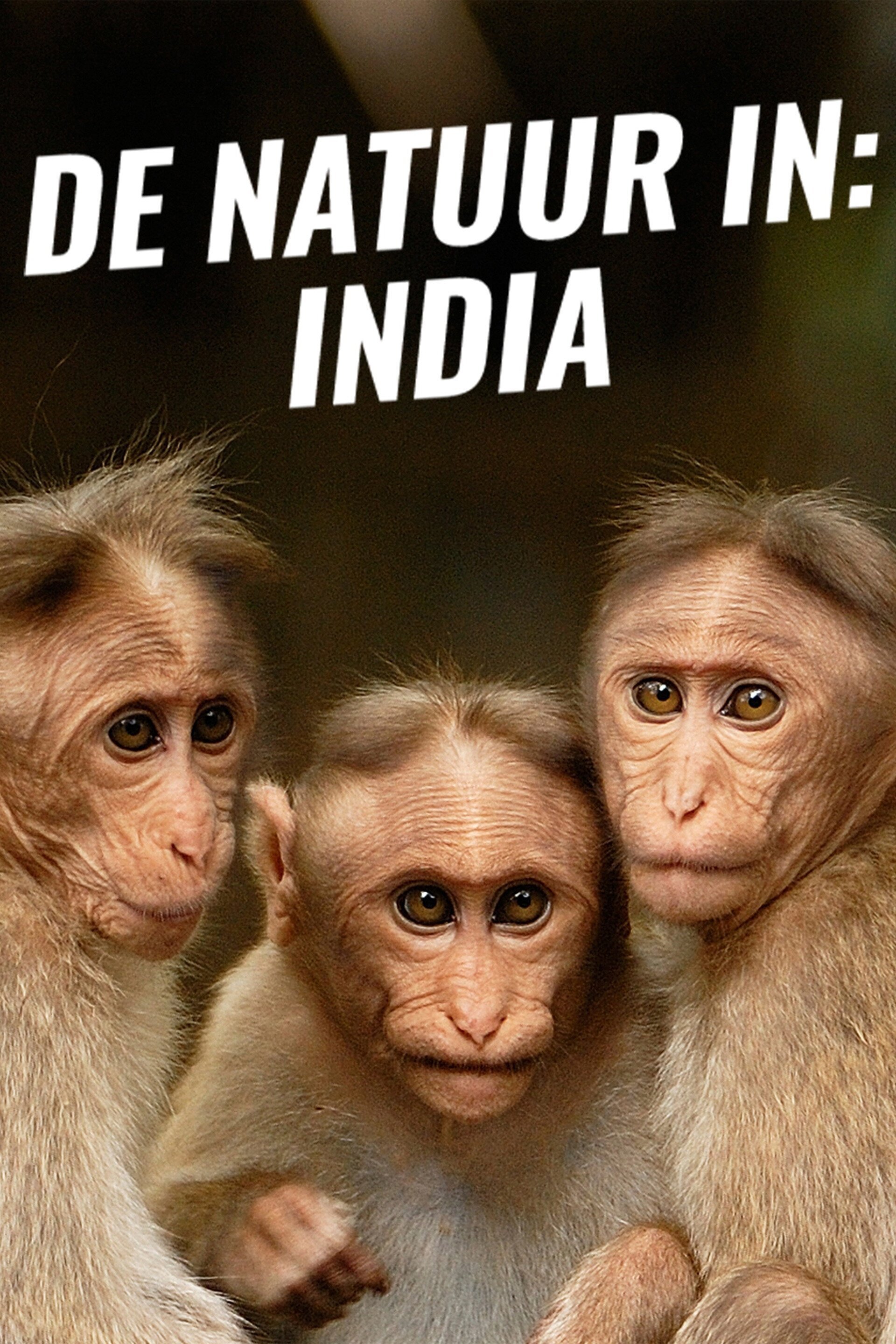 De natuur in: India