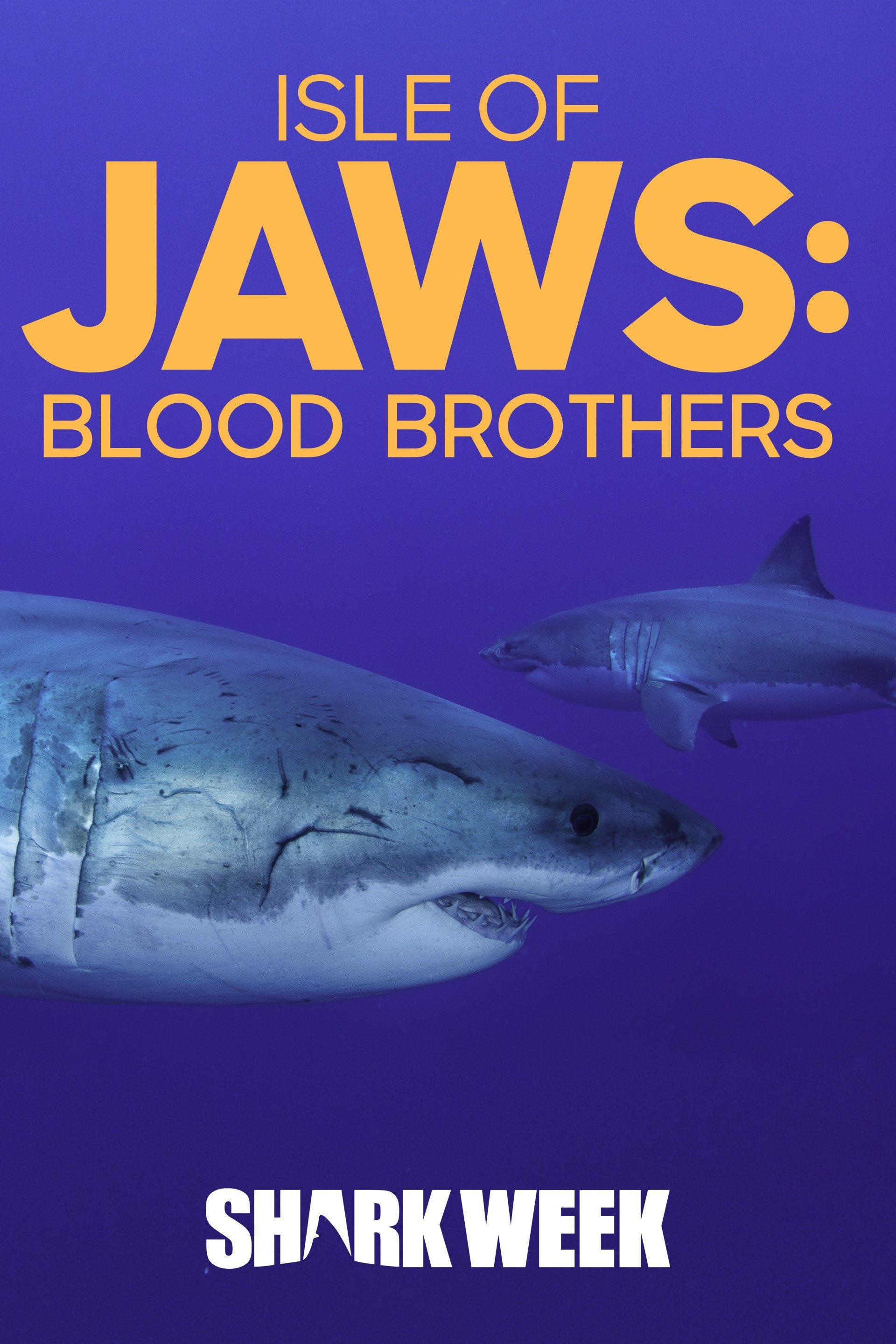 Isle of Jaws: Blood Brothers