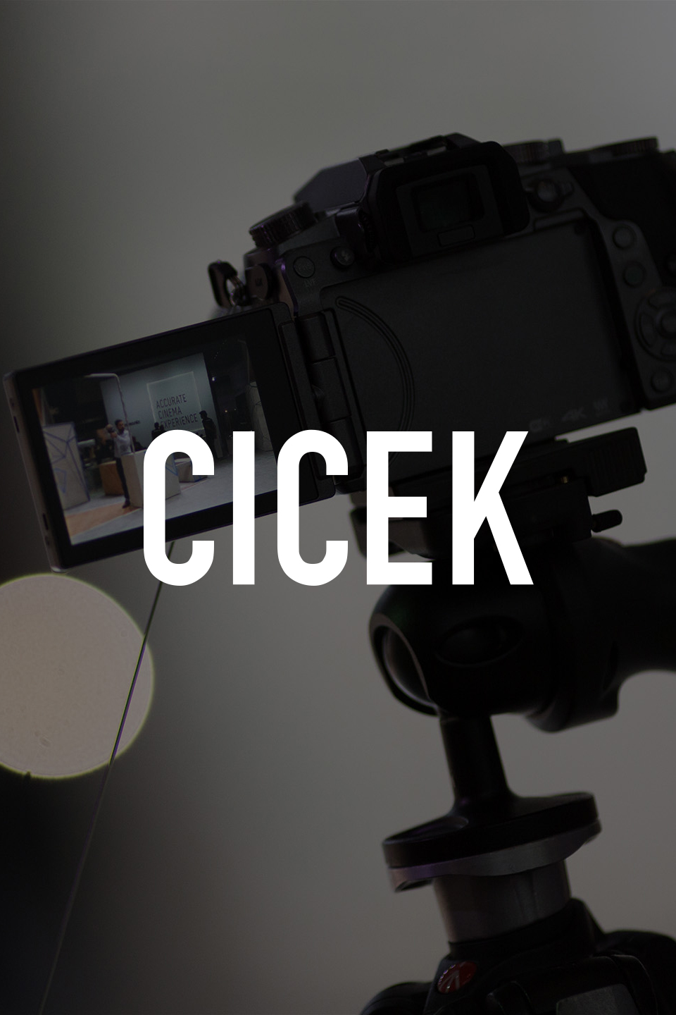 Cicek