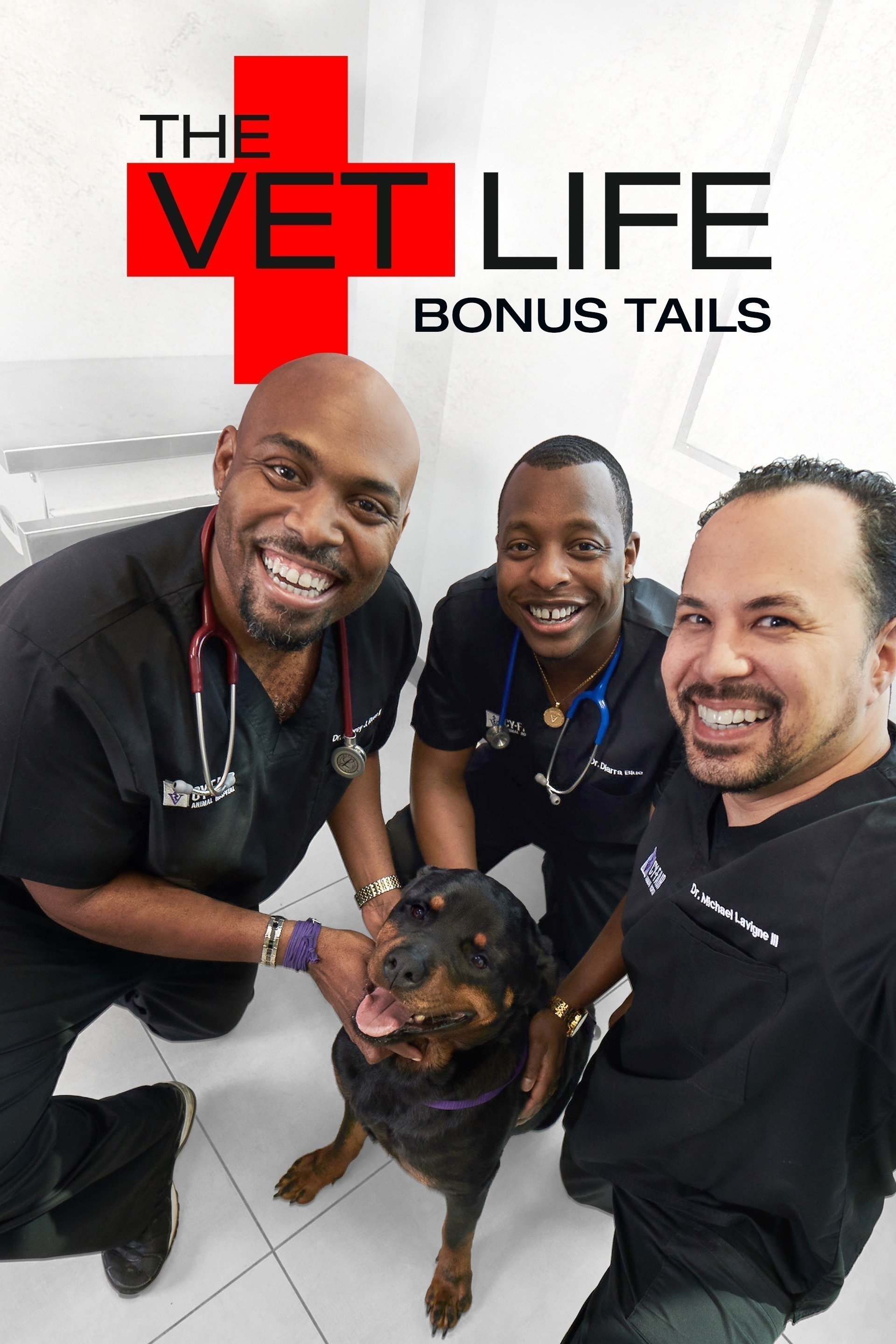 The Vet Life: Bonus Tails