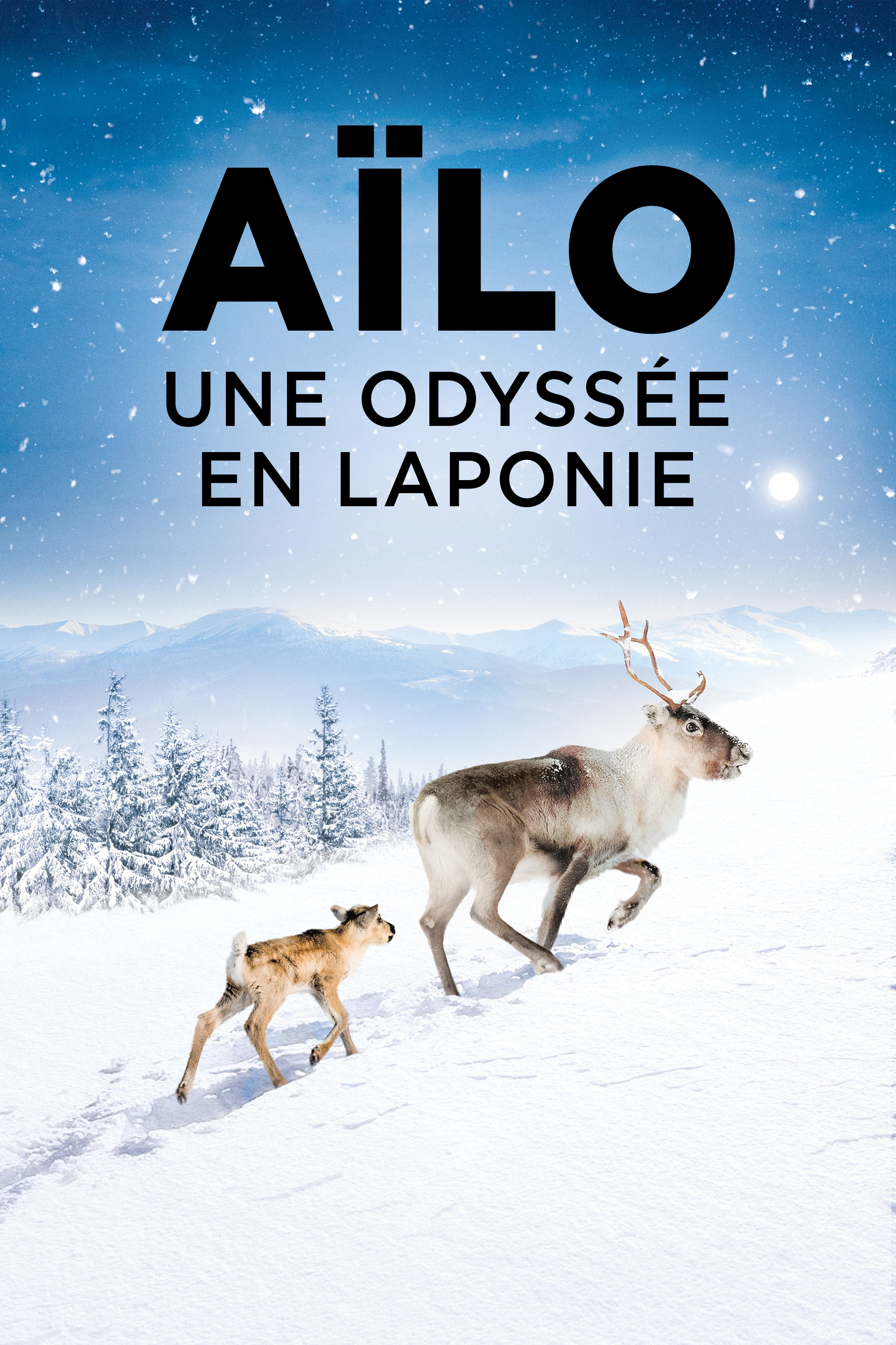 Aïlo : une odyssée en Laponie