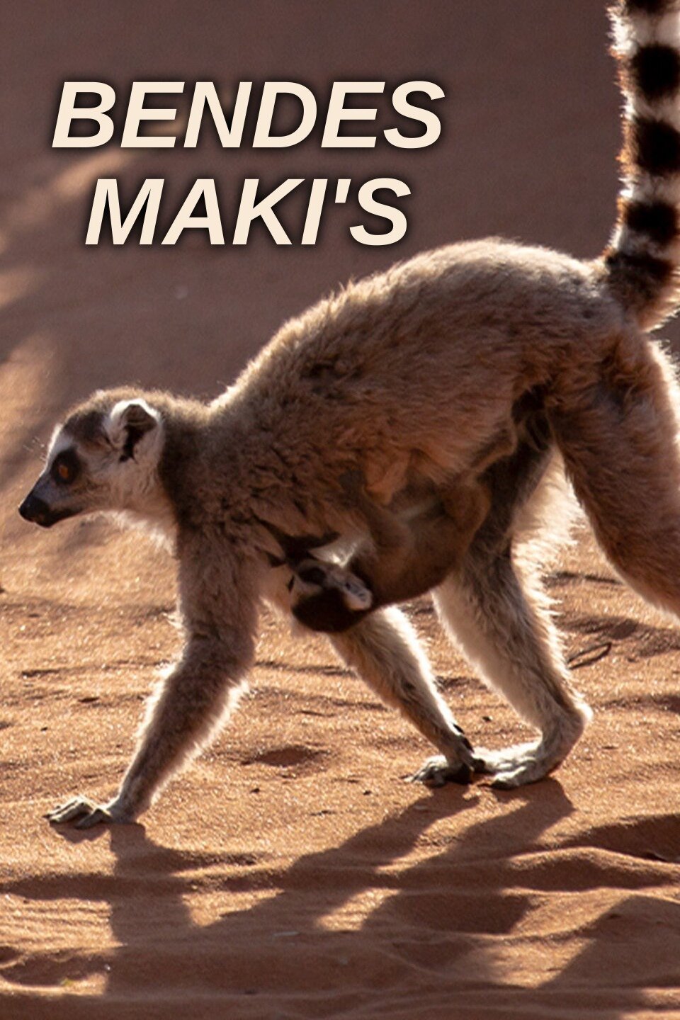 Bendes maki's