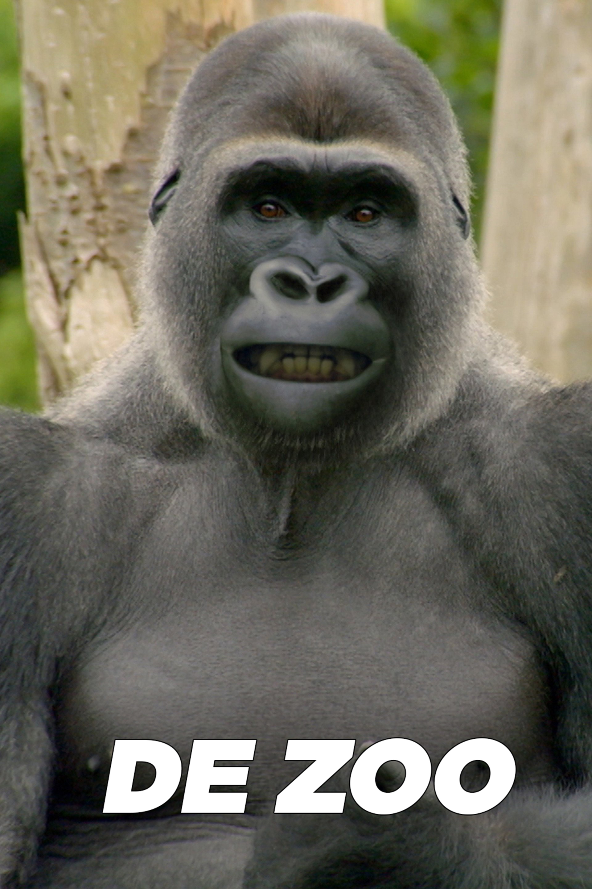 De Zoo