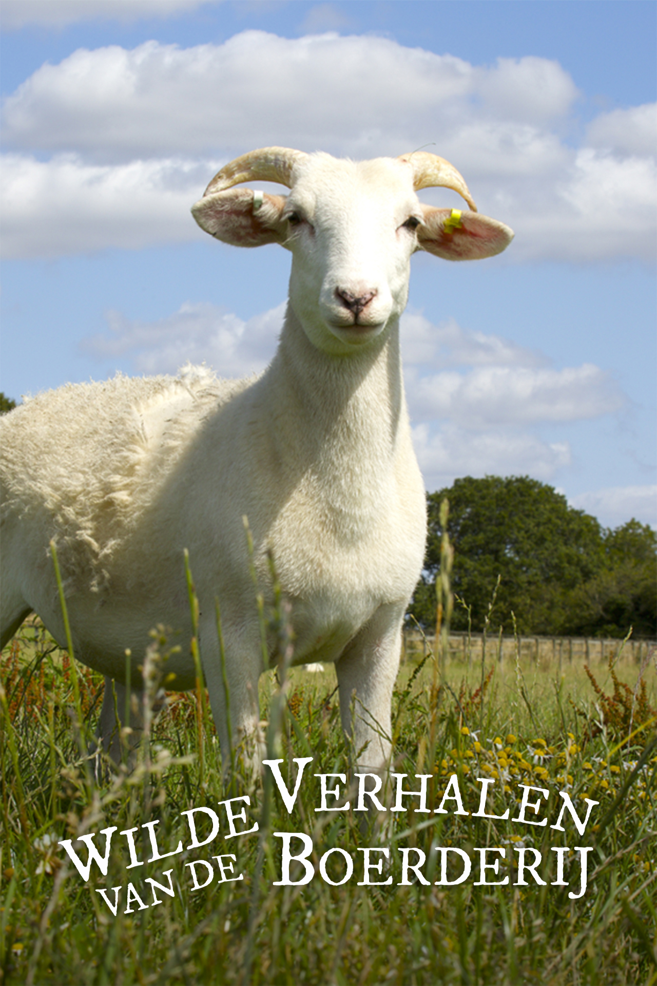 Wilde verhalen van de boerderij