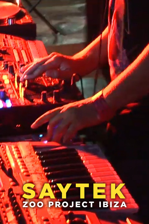 Saytek: Zoo Project Ibiza