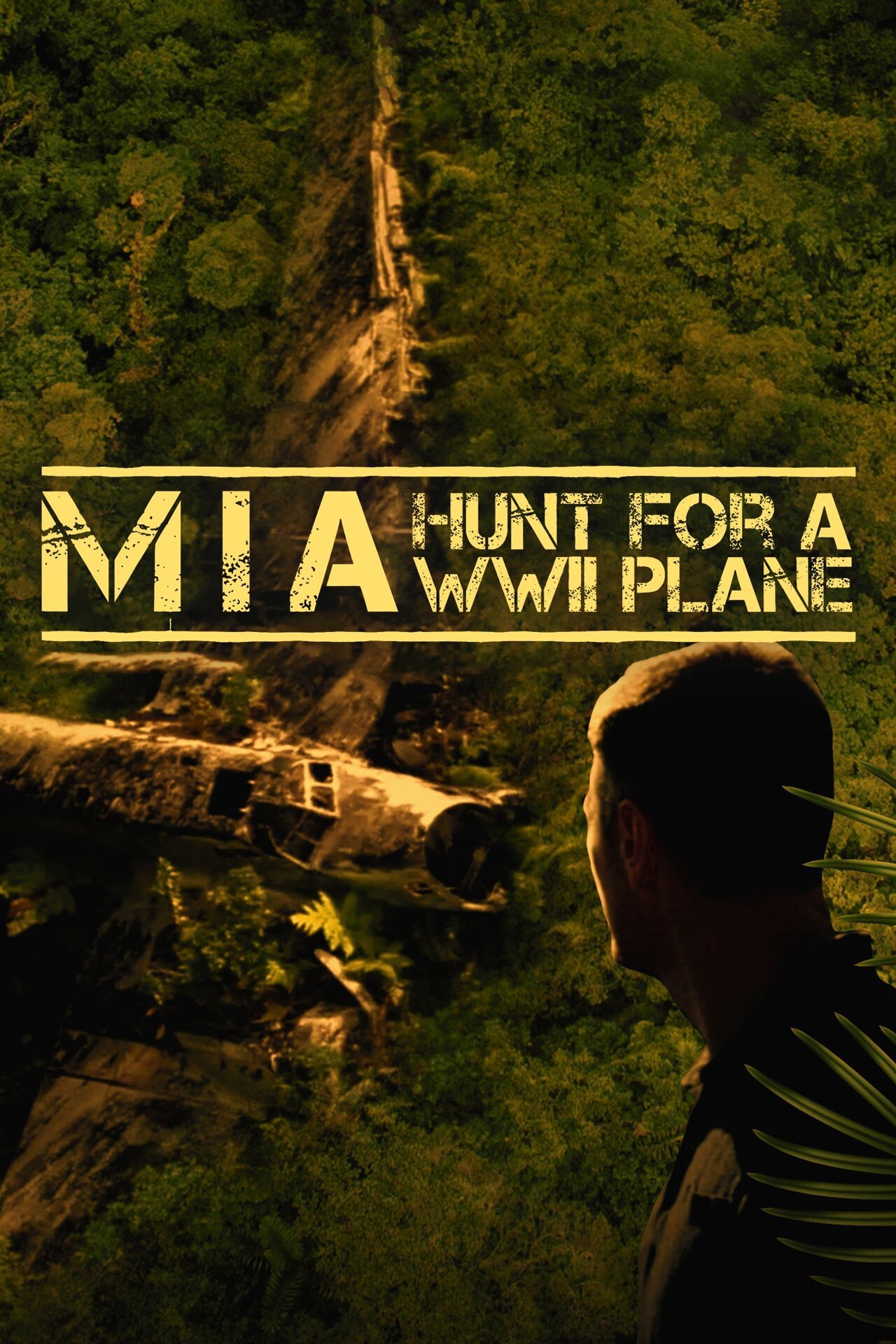 MIA: Hunt for a WWII Plane