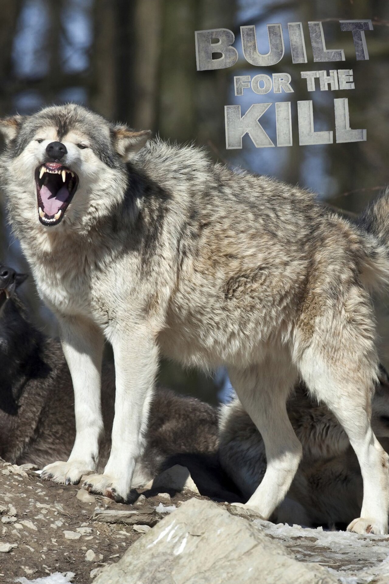 Built for the Kill