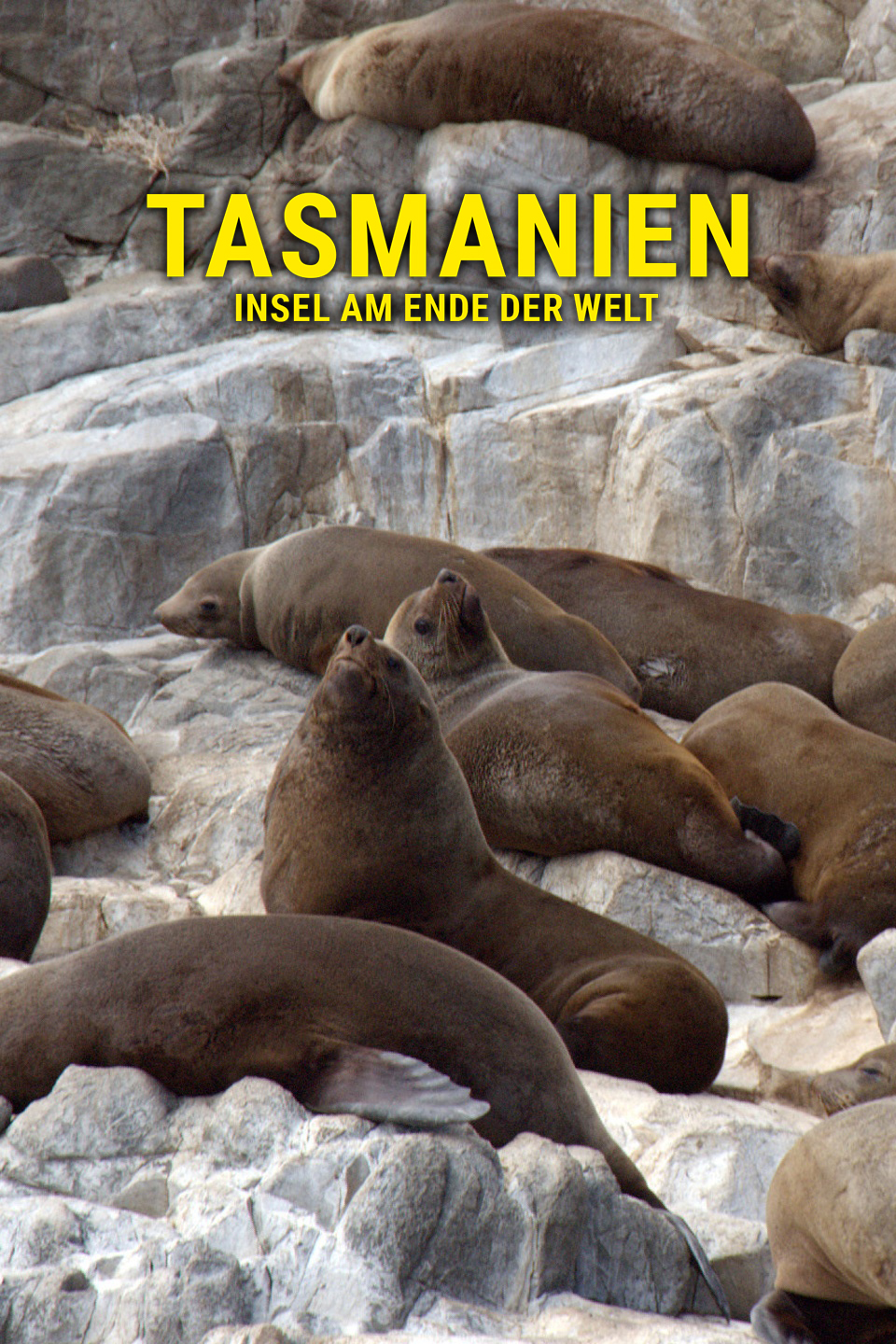 Tasmanien - Insel am Ende der Welt