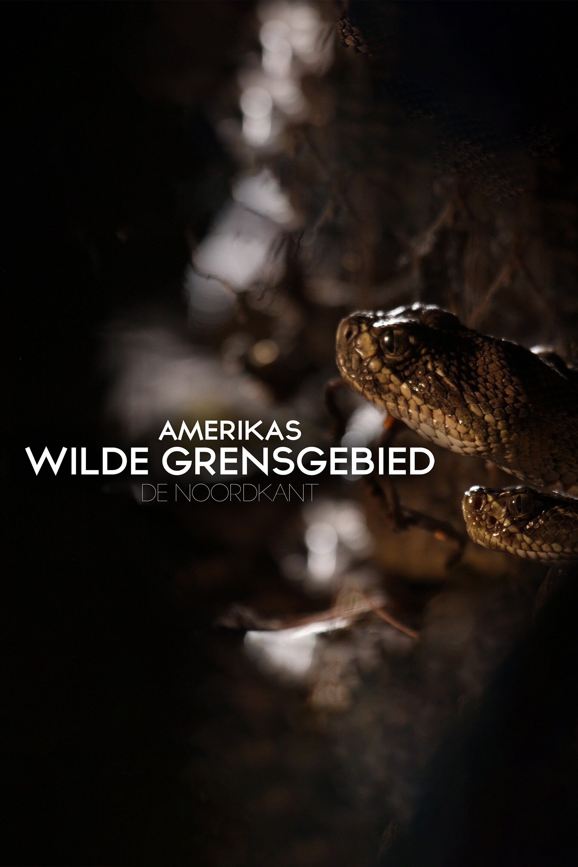 Amerika's wilde grens: de noorkant