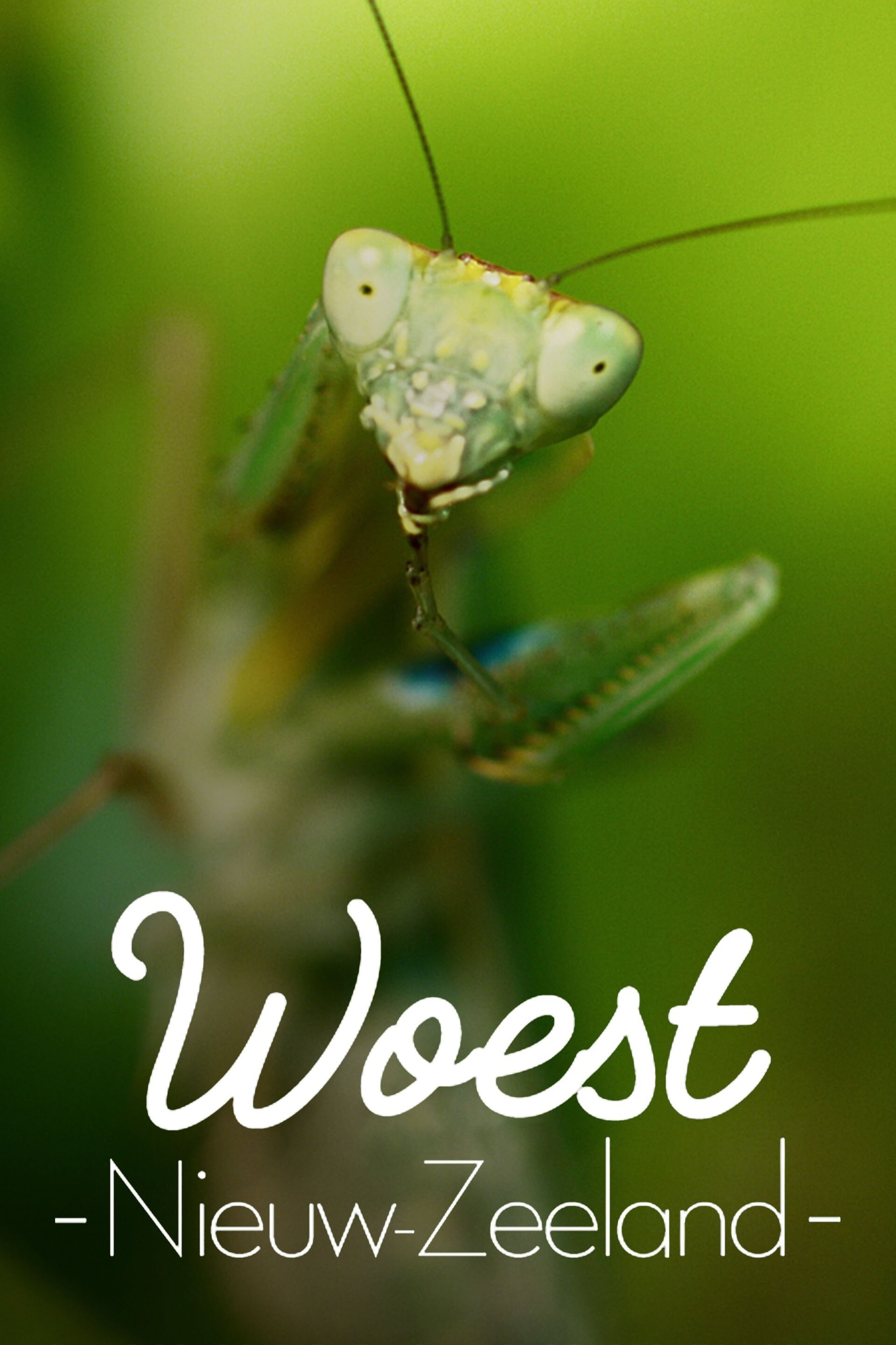 Woest Nieuw-Zeeland