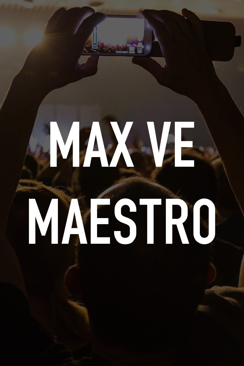 Max Ve Maestro