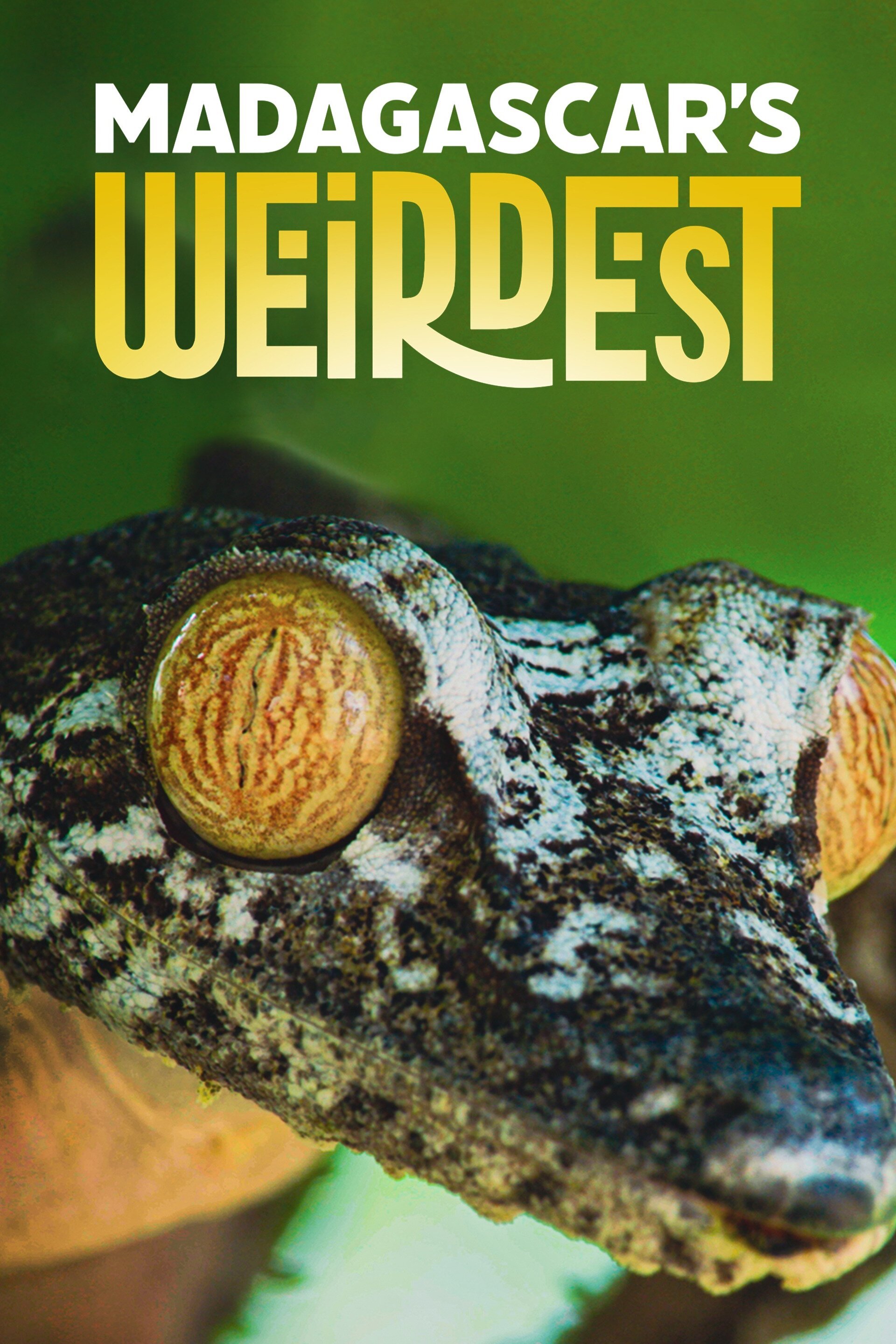 Madagascar's Weirdest