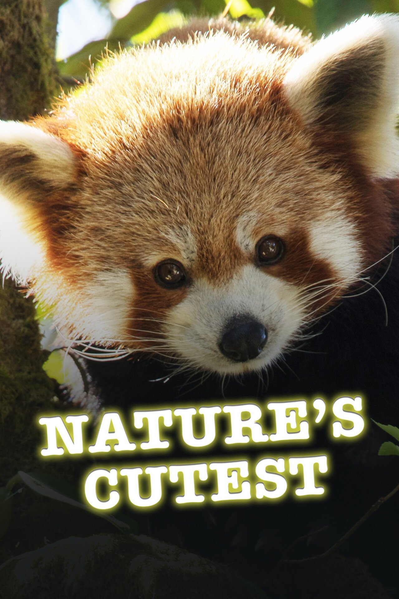 Nature's Cutest