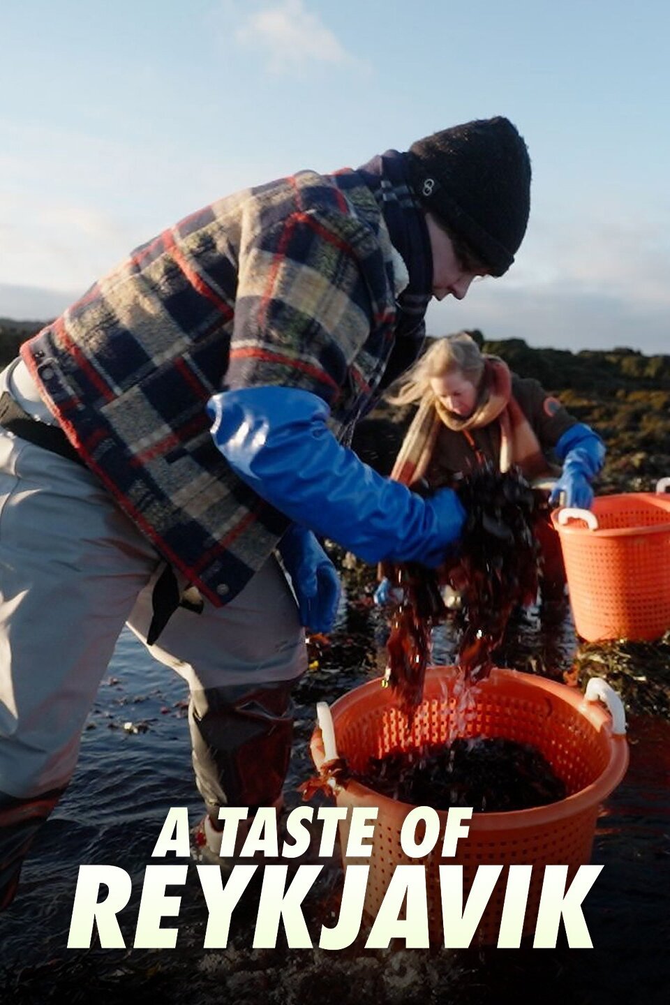 A Taste of Reykjavik