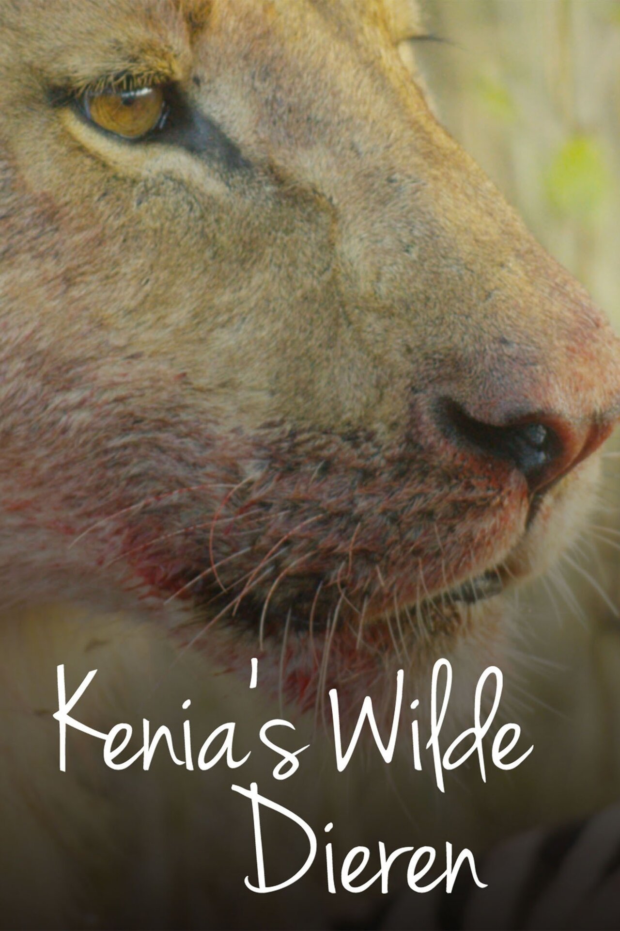 Kenia's wilde dieren