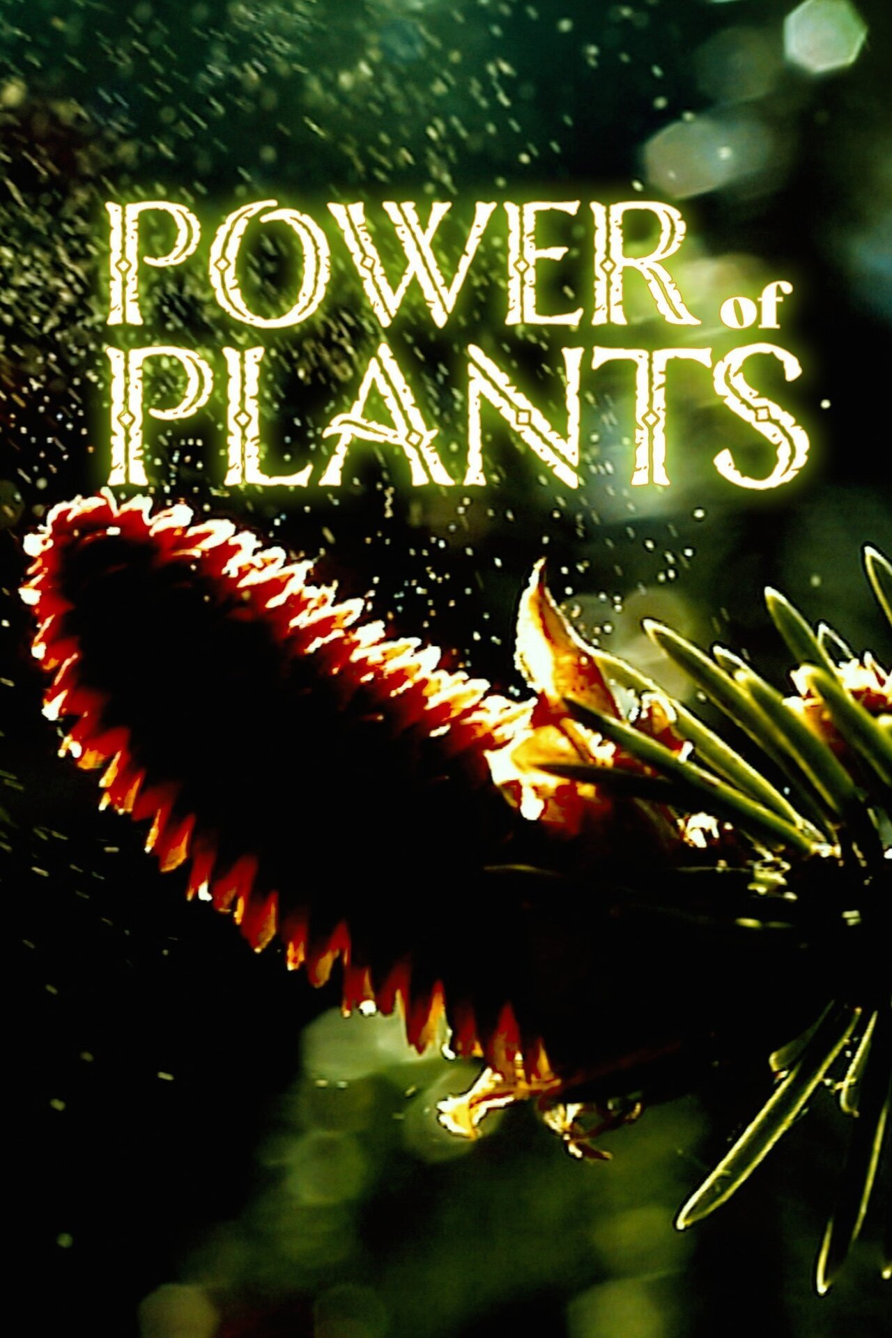 Power of Plants