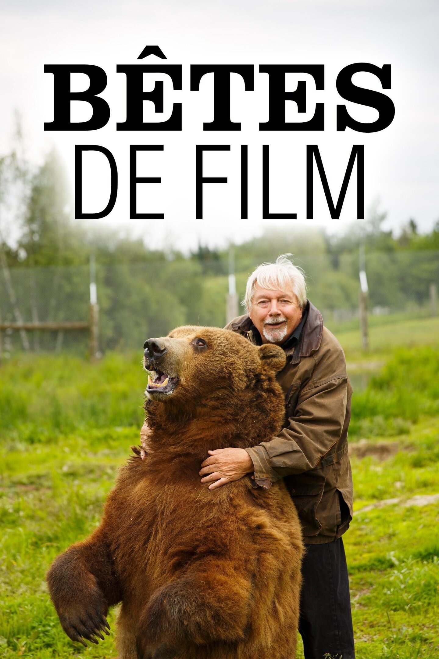 Bêtes de film