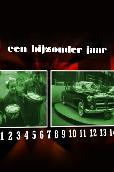 Een Bijzonder Jaar