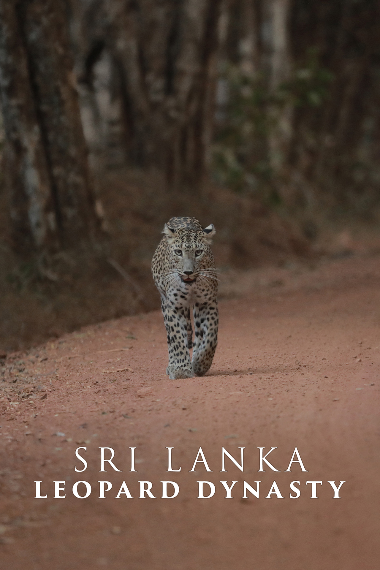 Sri Lanka: Leopard Dynasty