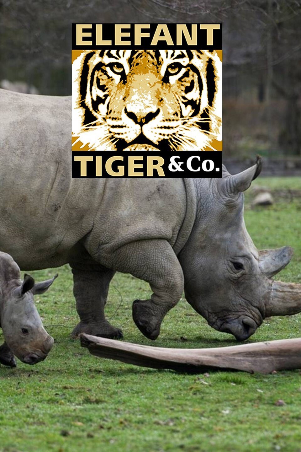 Elefant, Tiger & Co