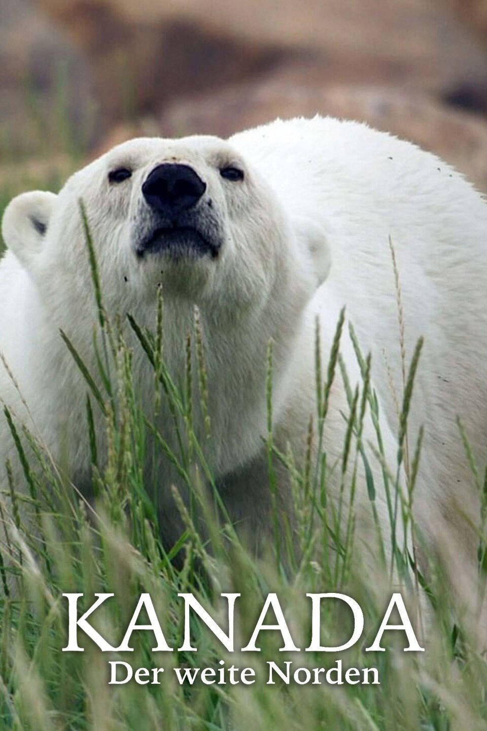 Kanada - Der weite Norden