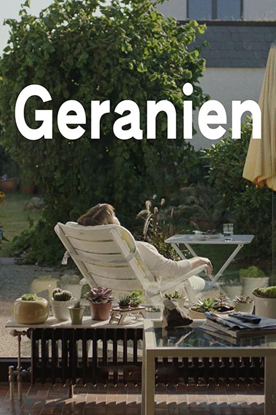 Geranien