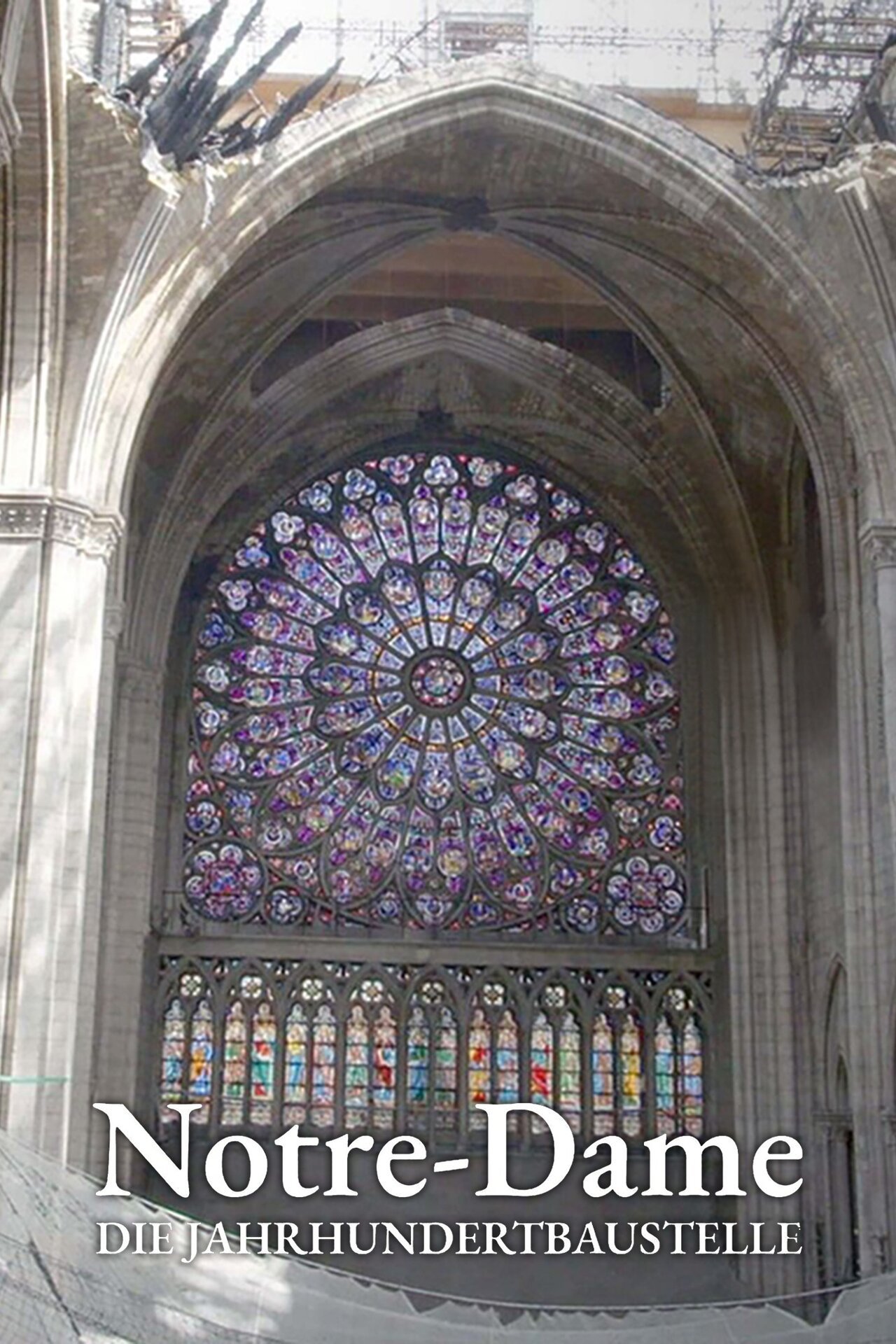 Notre-Dame, die Jahrhundertbaustelle