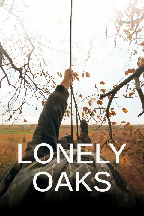 Lonely Oaks