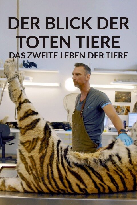 Der Blick der toten Tiere - Das zweite Leben der Tiere