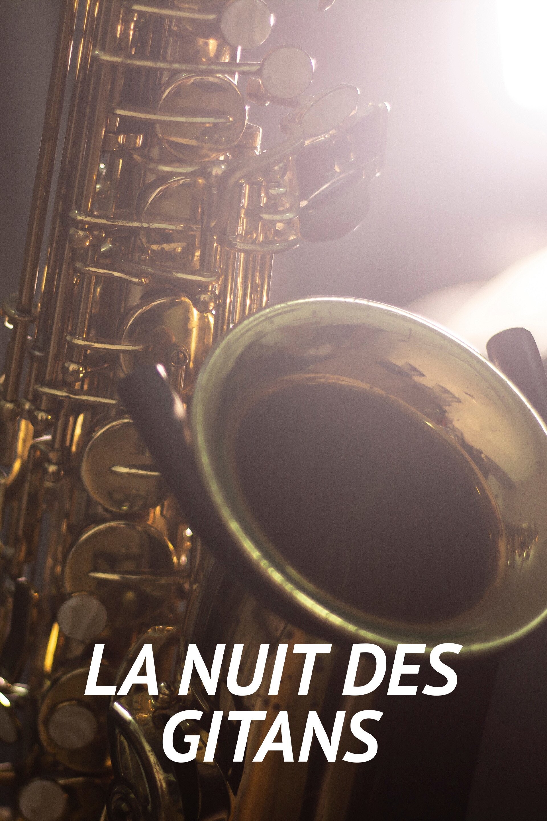 La nuit des gitans