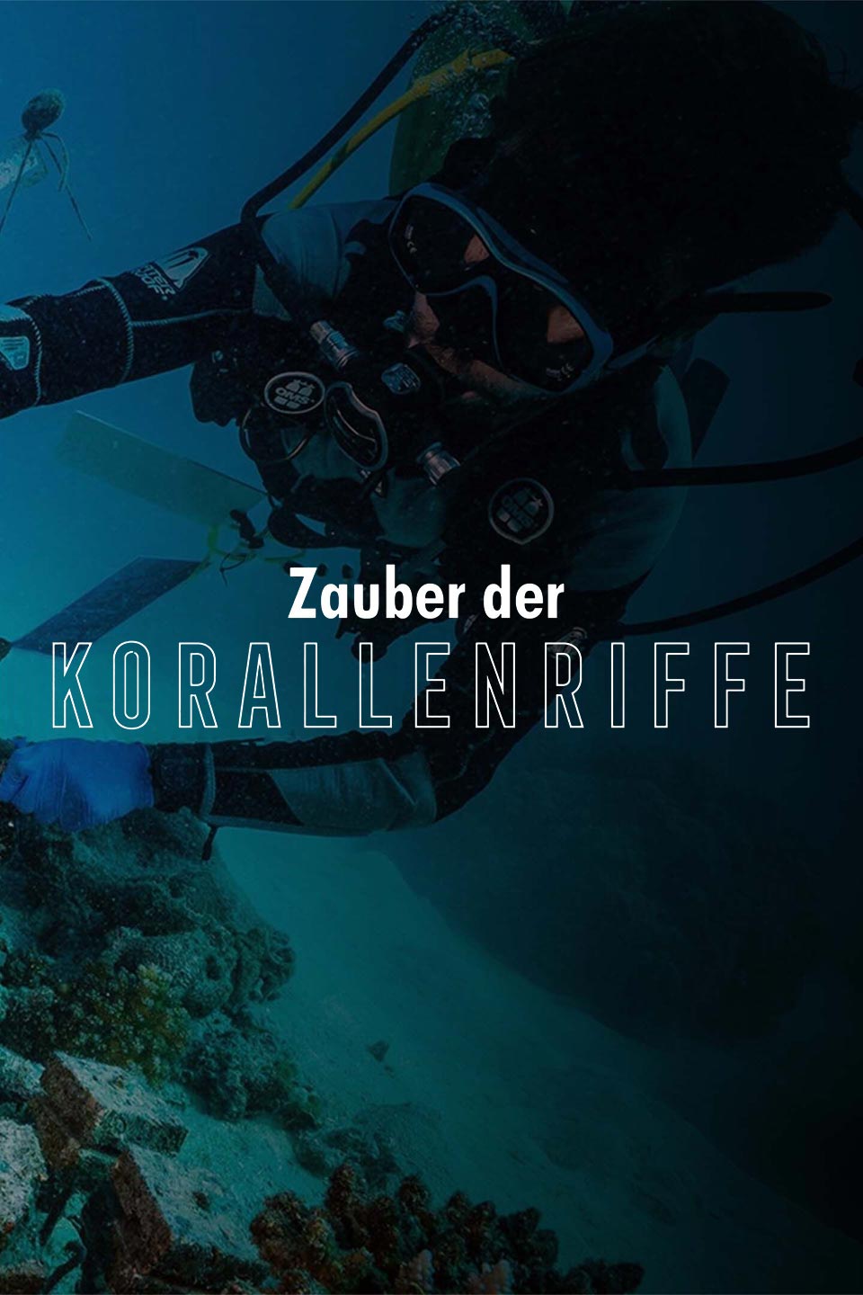 Zauber der Korallenriffe - Der Indische Ozean
