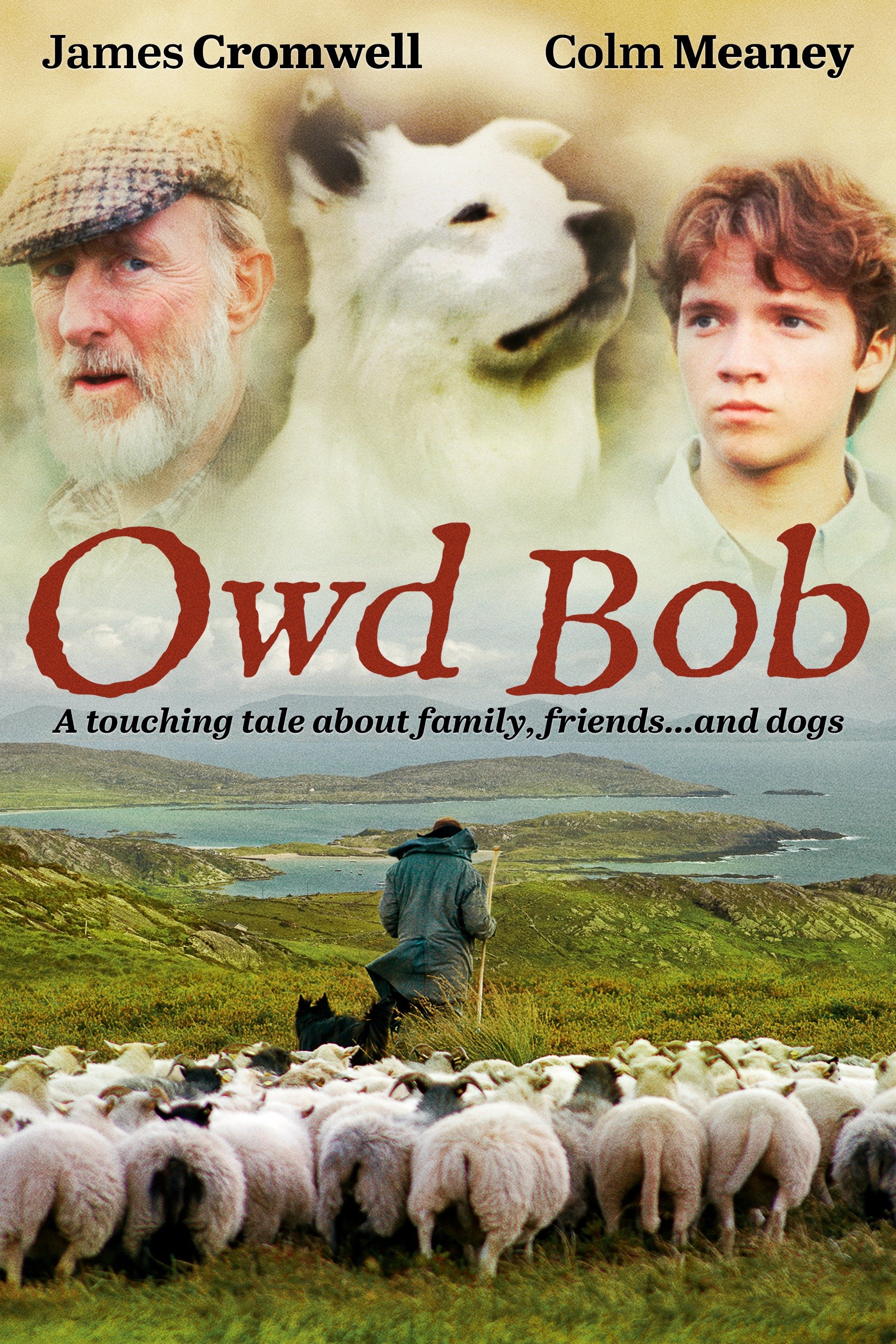 Owd Bob