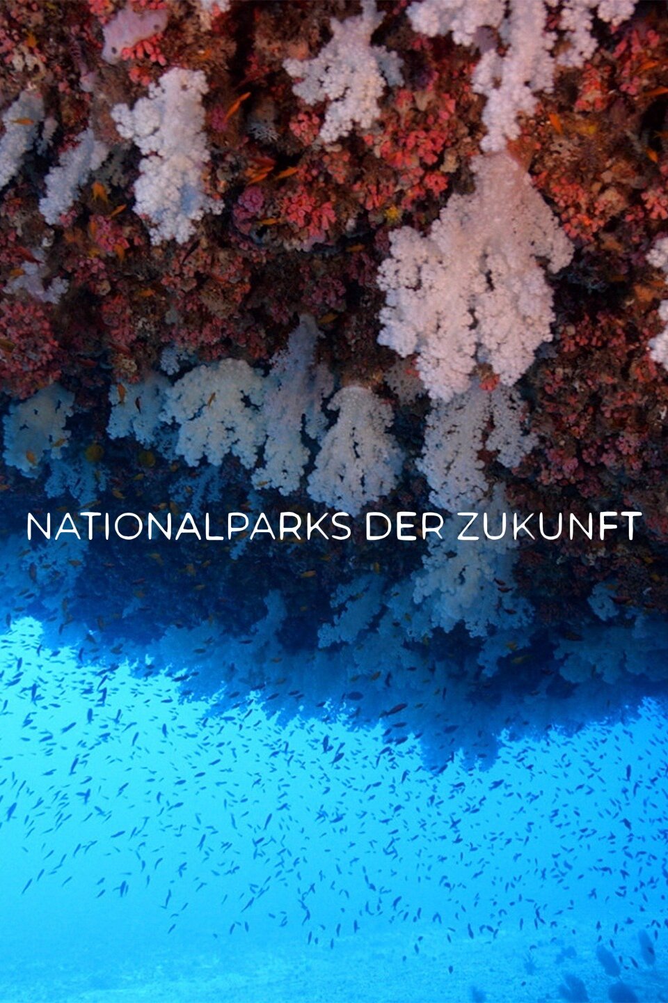 Nationalparks der Zukunft