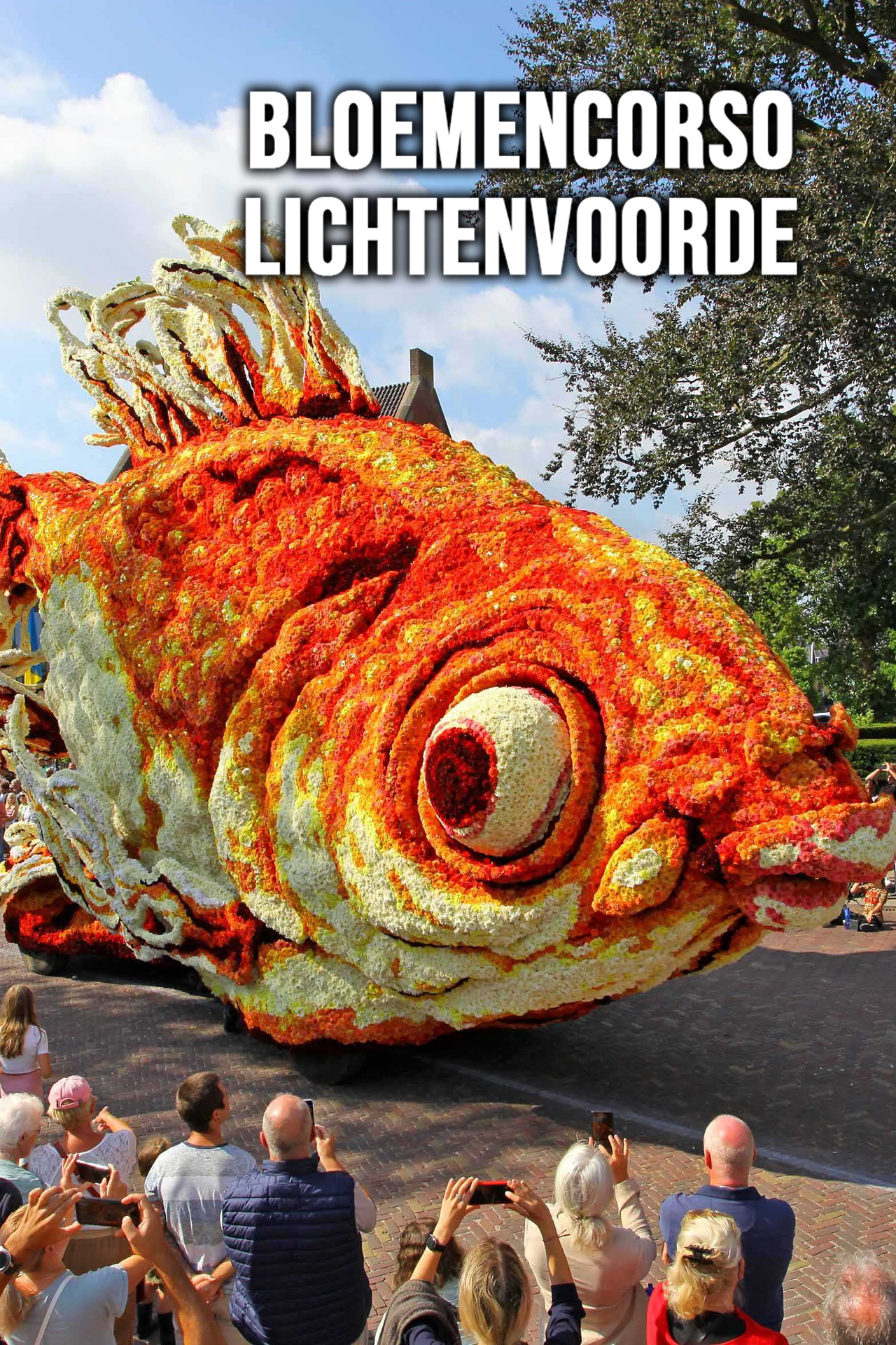 Bloemencorso Lichtenvoorde