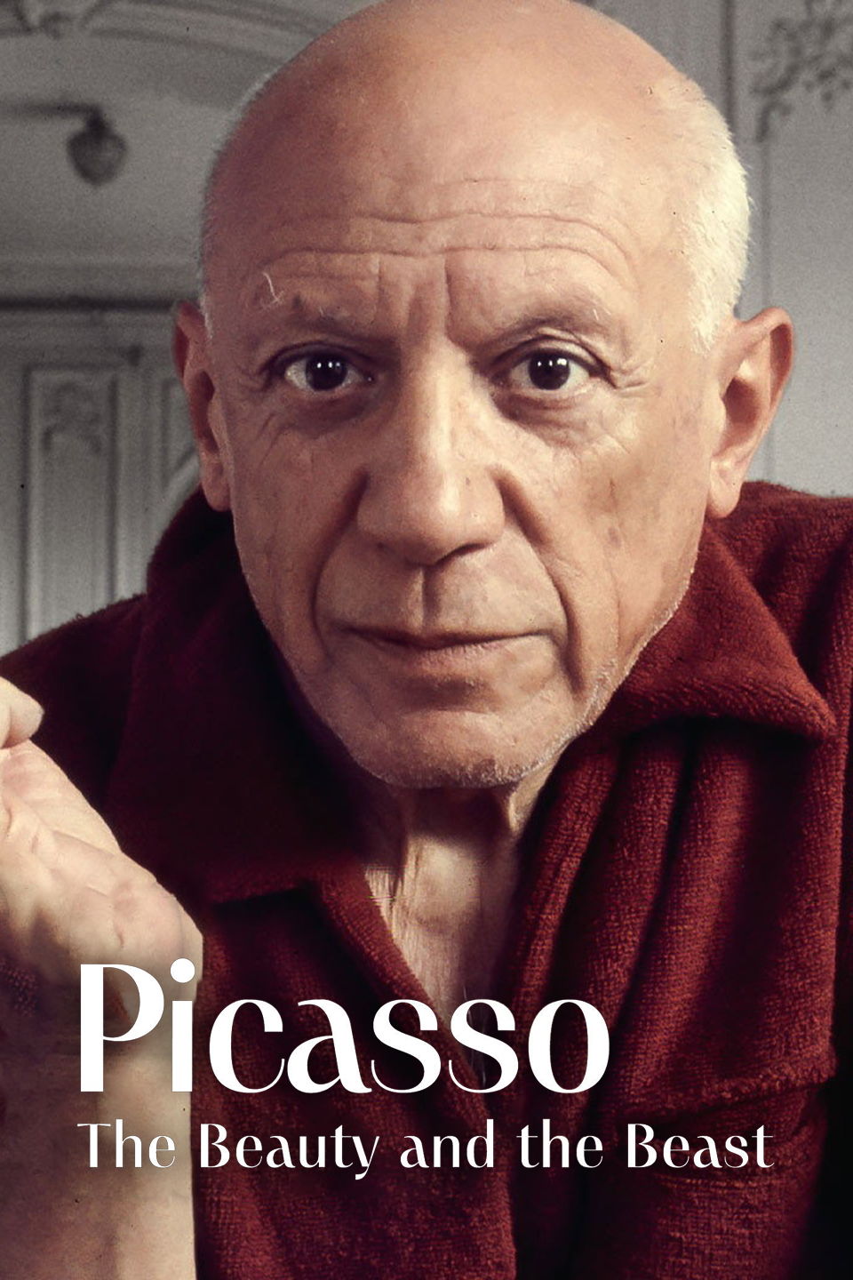 Picasso: The Beauty and the Beast
