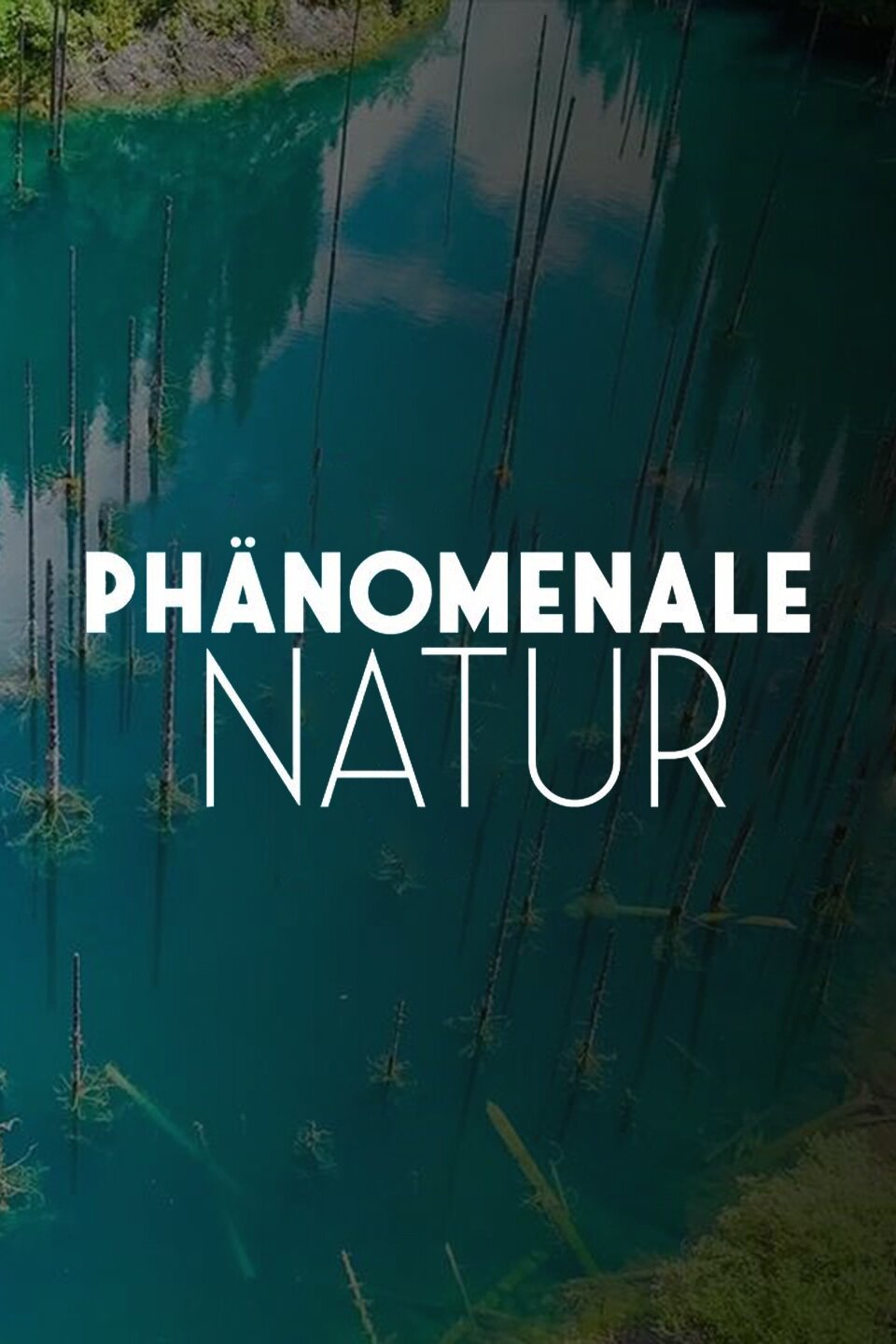 Phänomenale Natur