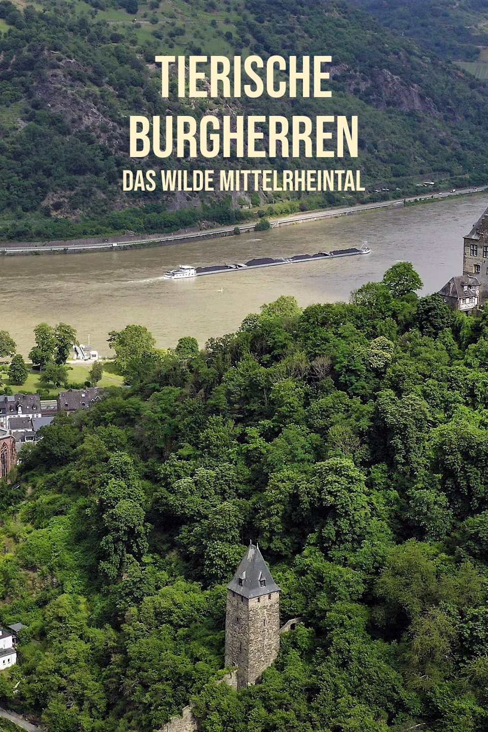 Tierische Burgherren - Das wilde Mittelrheintal
