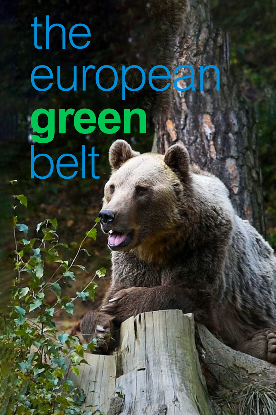 The European green belt