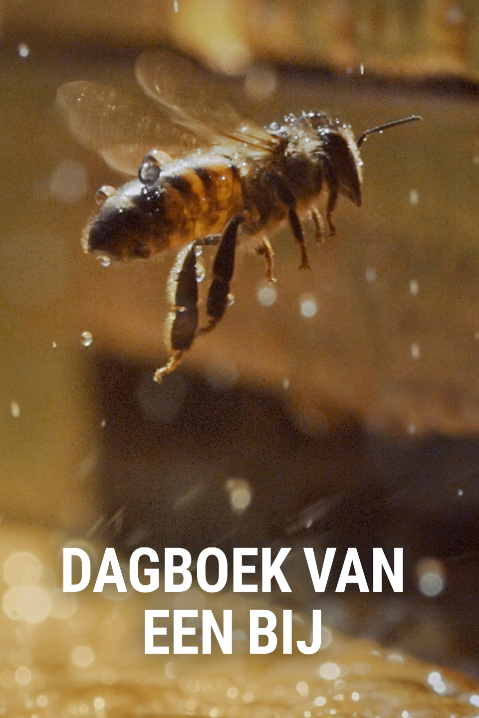 Dagboek van een bij